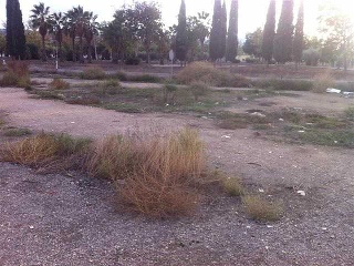 Suelo urbanizable situado en San Ginés, Murcia 16