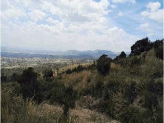Suelo en Abanilla 15
