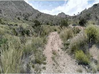 Suelo en Abanilla 16