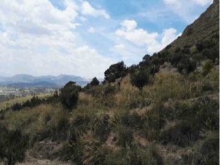 Suelo en Abanilla 17