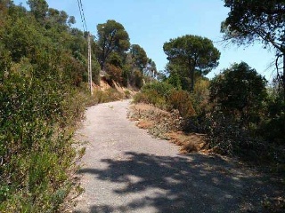 Suelo en C/ de la Manzana, Lloret de Mar (Girona) 10