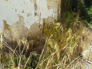 Suelo en Inca 25