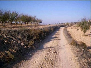 Suelo en Villena 18