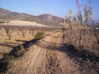 Suelo en Villena 19
