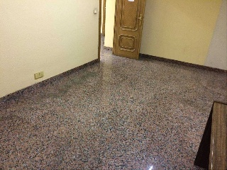 Constitución 11