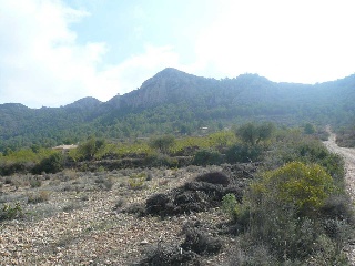 Suelo en Abanilla - Murcia 21