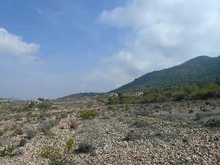 Suelo en Abanilla - Murcia 23
