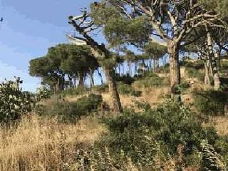 Suelo en Sant Feliu de Guixols - Girona - 11
