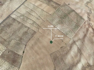 Suelo en Ptda Arsenal - Jumilla - 17