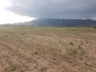 Suelo en Ptda Arsenal - Jumilla - 19