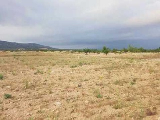Suelo en Ptda Arsenal - Jumilla - 20
