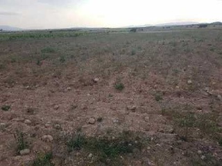 Suelo en Ptda Arsenal - Jumilla - 21