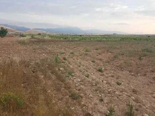 Suelo en Ptda Arsenal - Jumilla - 22