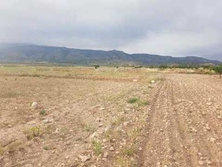 Suelo en Ptda Arsenal - Jumilla - 23
