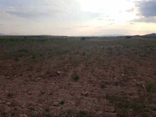 Suelo en Ptda Arsenal - Jumilla - 24