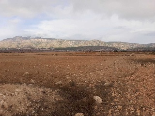 Suelo en Ptda Arsenal - Jumilla - 25