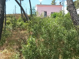 Suelo en Maçanet de la Selva - Girona - 10