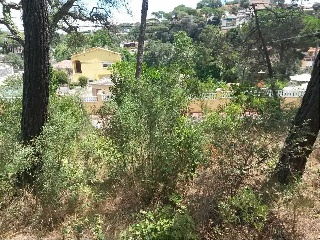 Suelo en Maçanet de la Selva - Girona - 11