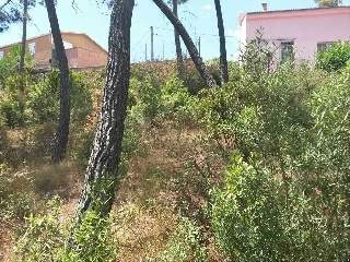 Suelo en Maçanet de la Selva - Girona - 13