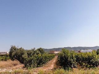Local en Llombai - Valencia - 72