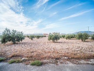 Chalet adosado en C/ Nueva Apertura, Zarcilla de ramos (Murcia) 49