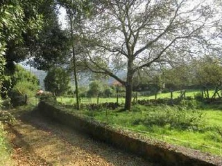 Suelos en Lg Pedro Moria, Siero 10