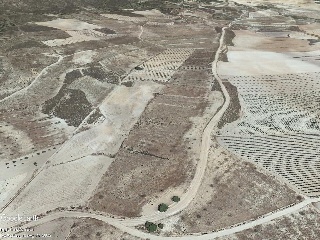 Suelo urbanizable en Raja-Solana, Jumilla (Murcia) 10