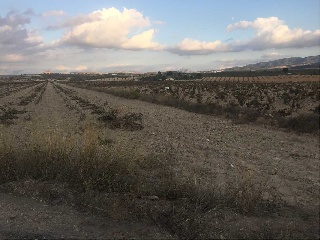 Suelo urbanizable en Raja-Solana, Jumilla (Murcia) 14