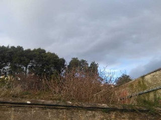 Suelo en Ortigueira - A Coruña - 15