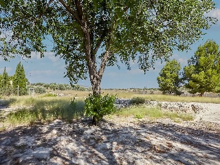 Vivienda aislada en Pt Zapatera 79