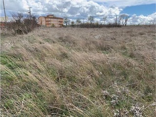 Suelo en Olmedo - Valladolid - 16