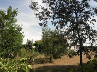 Casa Aislada en C/ Río Duero 4