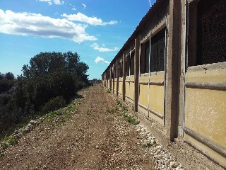 NAve Industrial situada en Traiguera - Castellón 22