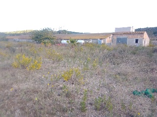 NAve Industrial situada en Traiguera - Castellón 33
