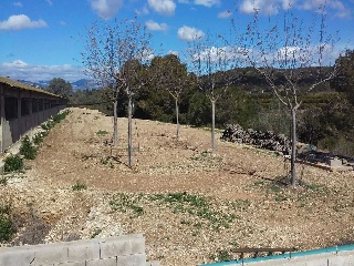 NAve Industrial situada en Traiguera - Castellón 38