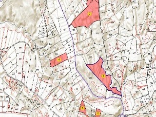 El Salado 11