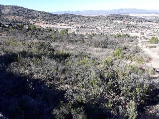 Suelos en Pt La Zarza 18