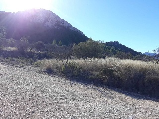 Suelos en Pt La Zarza 19