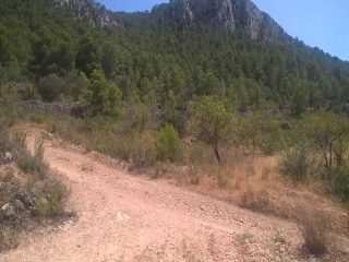 Suelos en Pt La Zarza 20