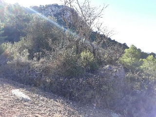 Suelos en Pt La Zarza 21