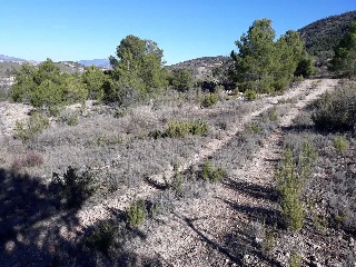 Suelos en Pt La Zarza 22