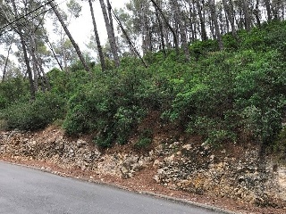 Suelo urbano consolidado en C/ Sorolla 22