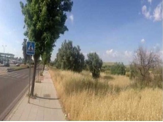 Suelo en Badajoz 16