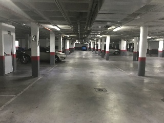 Mayor 6