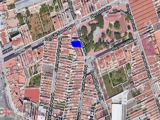 Reino de león 5