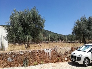 Suelo en Cañaveral de León - Huelva - 14
