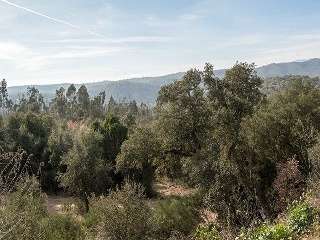 Suelo en Lg Selva, Riudarenes (Girona) 15