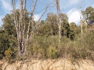 Suelo en Lg Selva, Riudarenes (Girona) 16