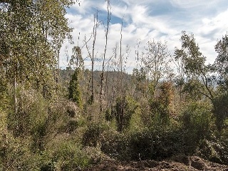 Suelo en Lg Selva, Riudarenes (Girona) 17