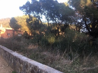 Suelo en Santa Cristina d´Aro 8